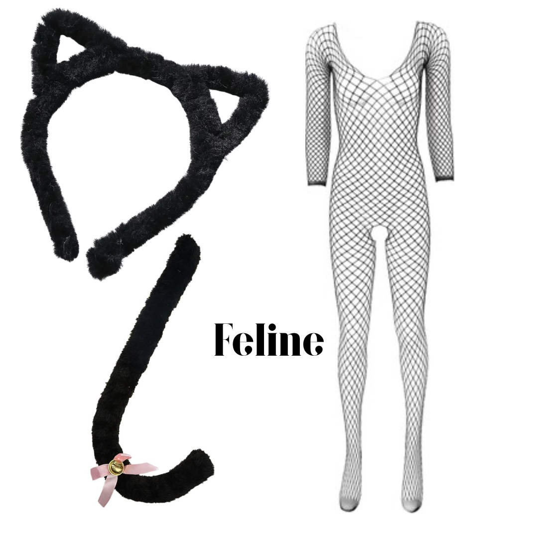 Halloween Themed Naughty Dress Up Box