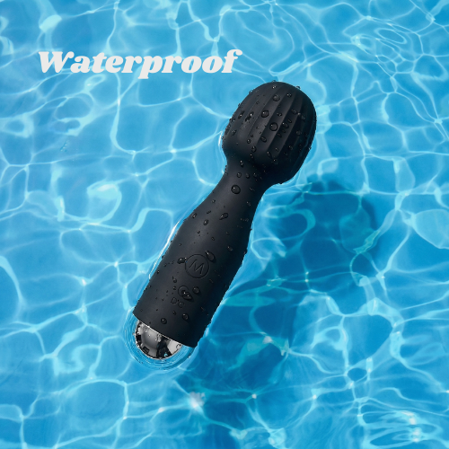 LUX Powerful Wand Vibrator