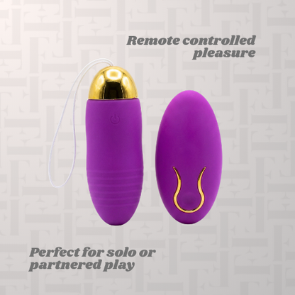 Remote Control Vibrating Love Egg