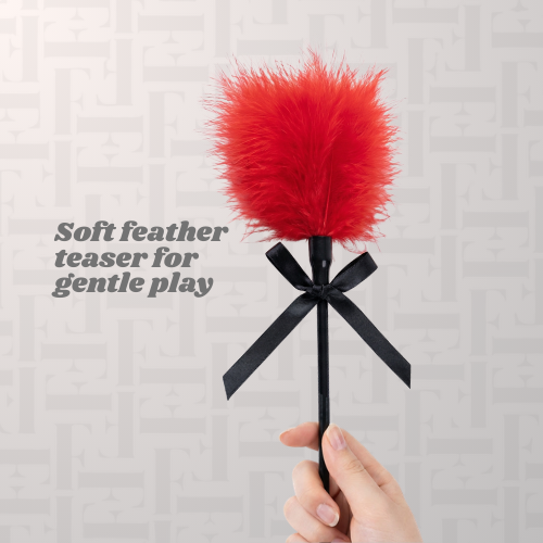Pluma DUO Spank & Feathered Tickler