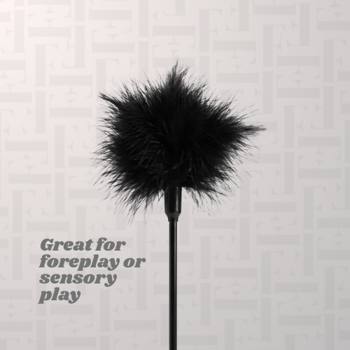 Feather Teaser Tickle Stick - Various Colours